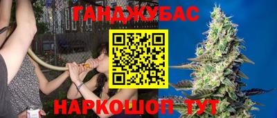 альфа пвп Краснознаменск
