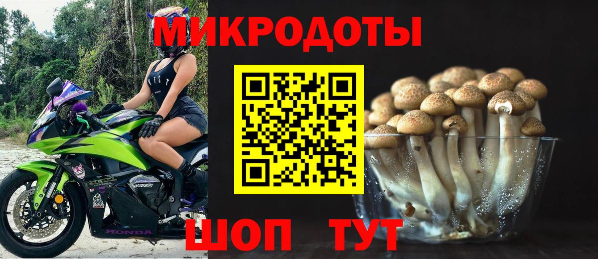 Донской  Галлюциногенные грибы Psilocybe  Вход с VPN 